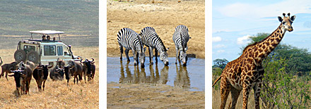 Tanzania safari for two, donated by Basecamp Centers
