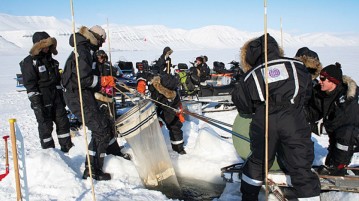 Arctic Degrees: Thriving in the High North | Study and Go Abroad 1