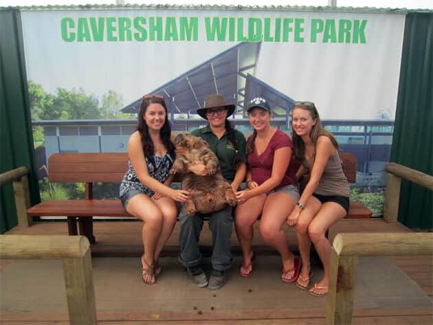 Caversham Wildlife Park gvies you the chance to get up close to some of Australia's most famous residents, including a 36kg wombat!