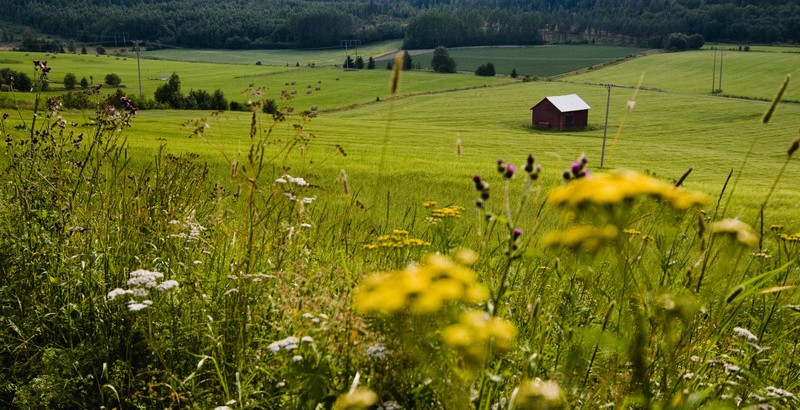 Hälsingland