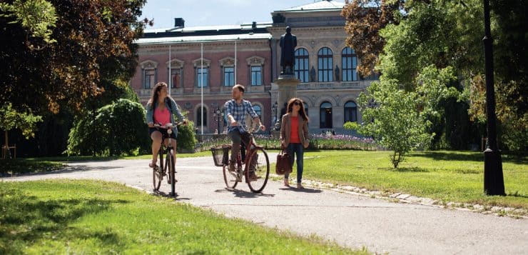 Experience an Education in Sweden